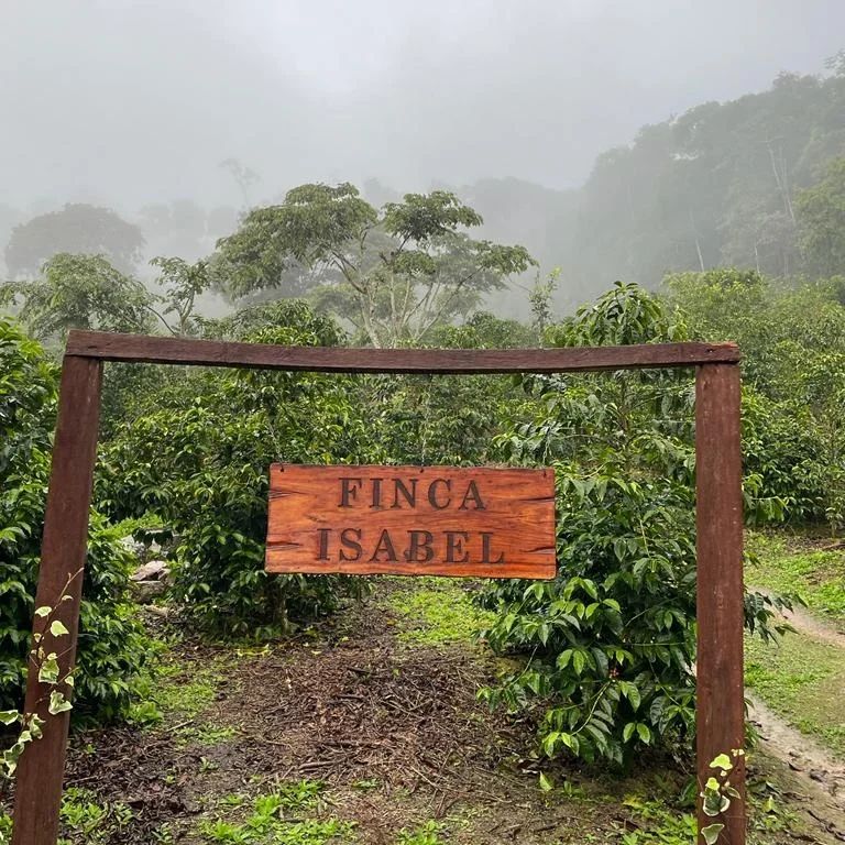 玻利维亚 Finca Isabel Geisha Rosario 洗地