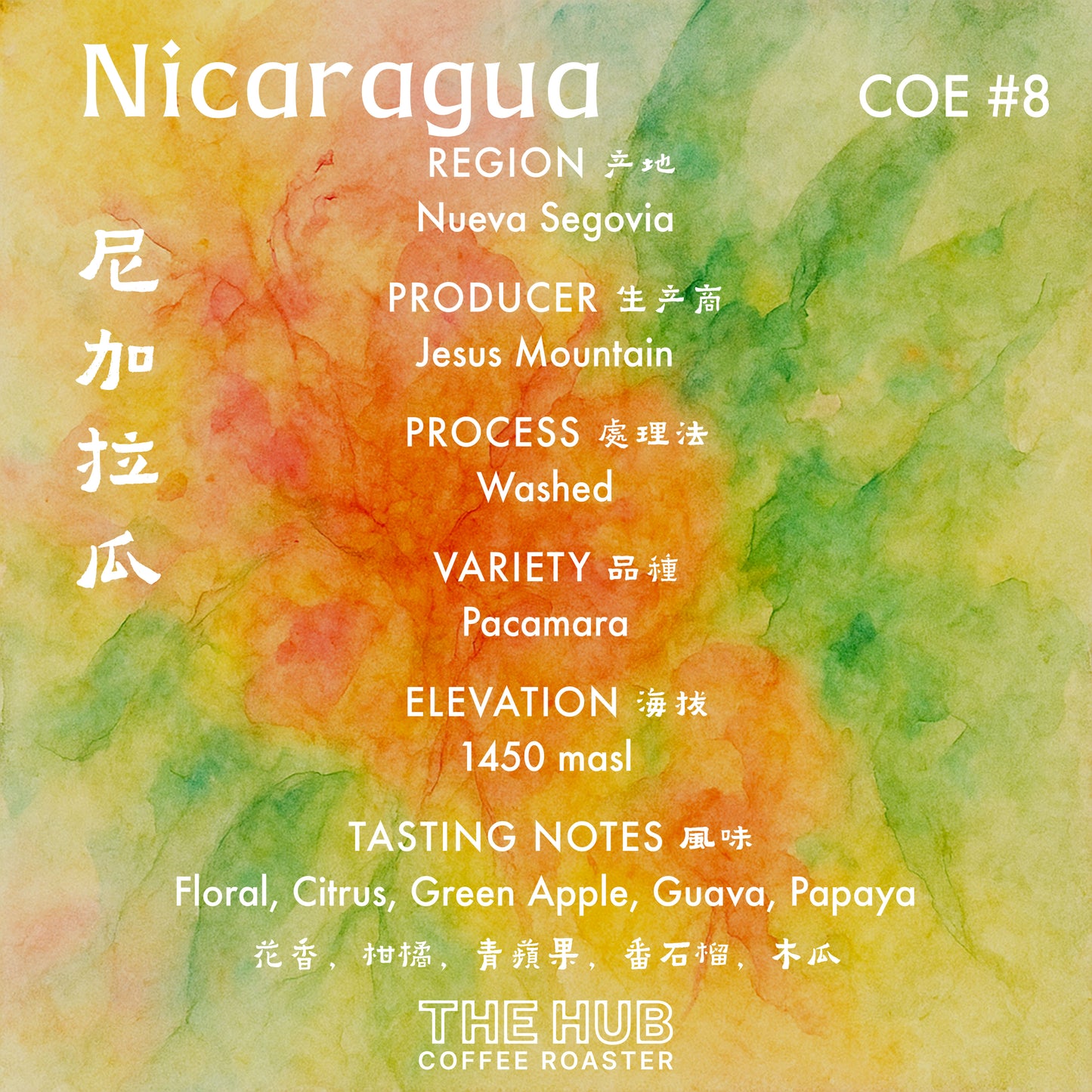 埃塞俄比亚 Gesha 村 Gesha 1931 Surma 批次 104 天然