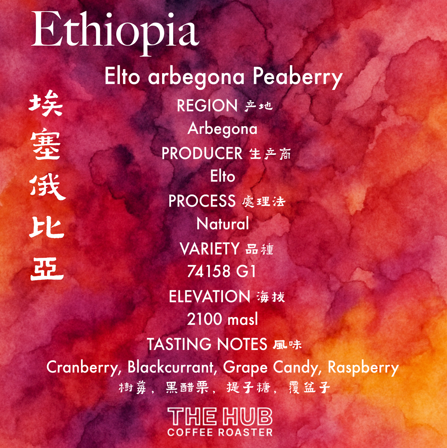 埃塞俄比亚 Gesha 村 Gesha 1931 Surma 批次 104 天然