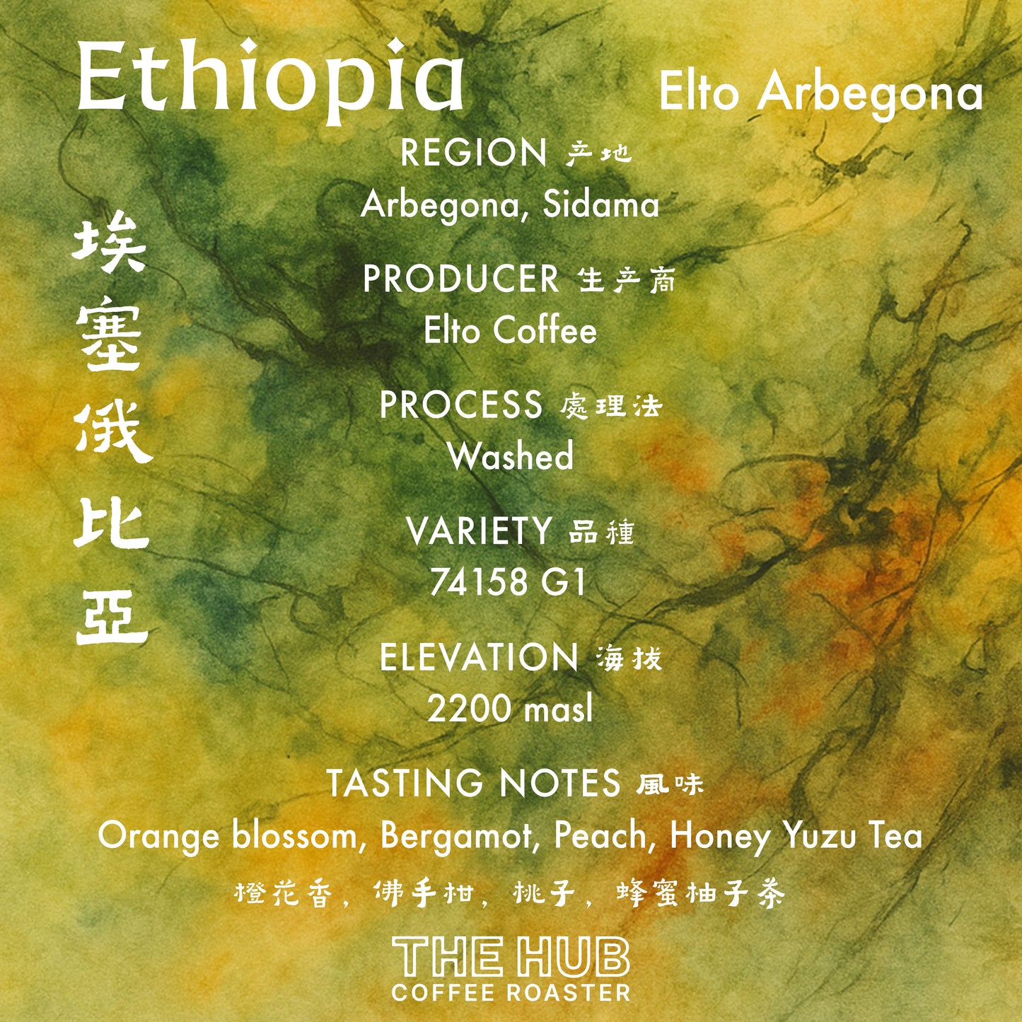 埃塞俄比亚 Elto Arbegona G1 水洗