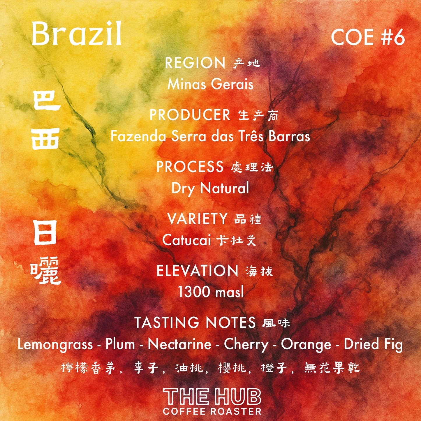 埃塞俄比亚 Gesha 村 Gesha 1931 Surma 批次 104 天然