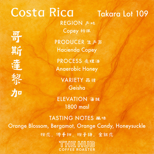 埃塞俄比亚 Gesha 村 Gesha 1931 Surma 批次 104 天然