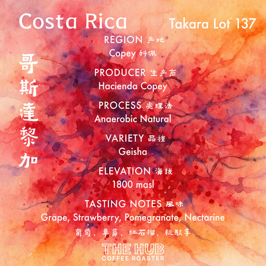 埃塞俄比亚 Gesha 村 Gesha 1931 Surma 批次 104 天然