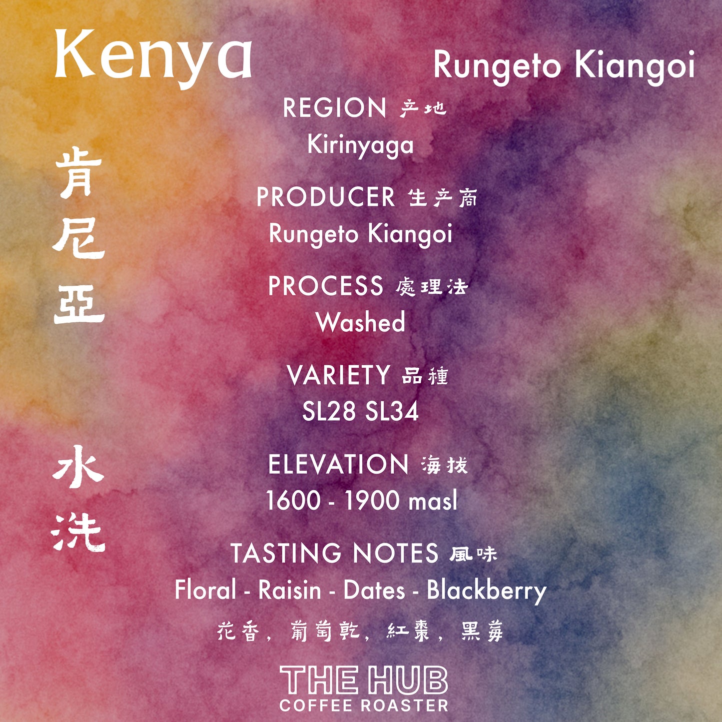 埃塞俄比亚 Gesha 村 Gesha 1931 Surma 批次 104 天然