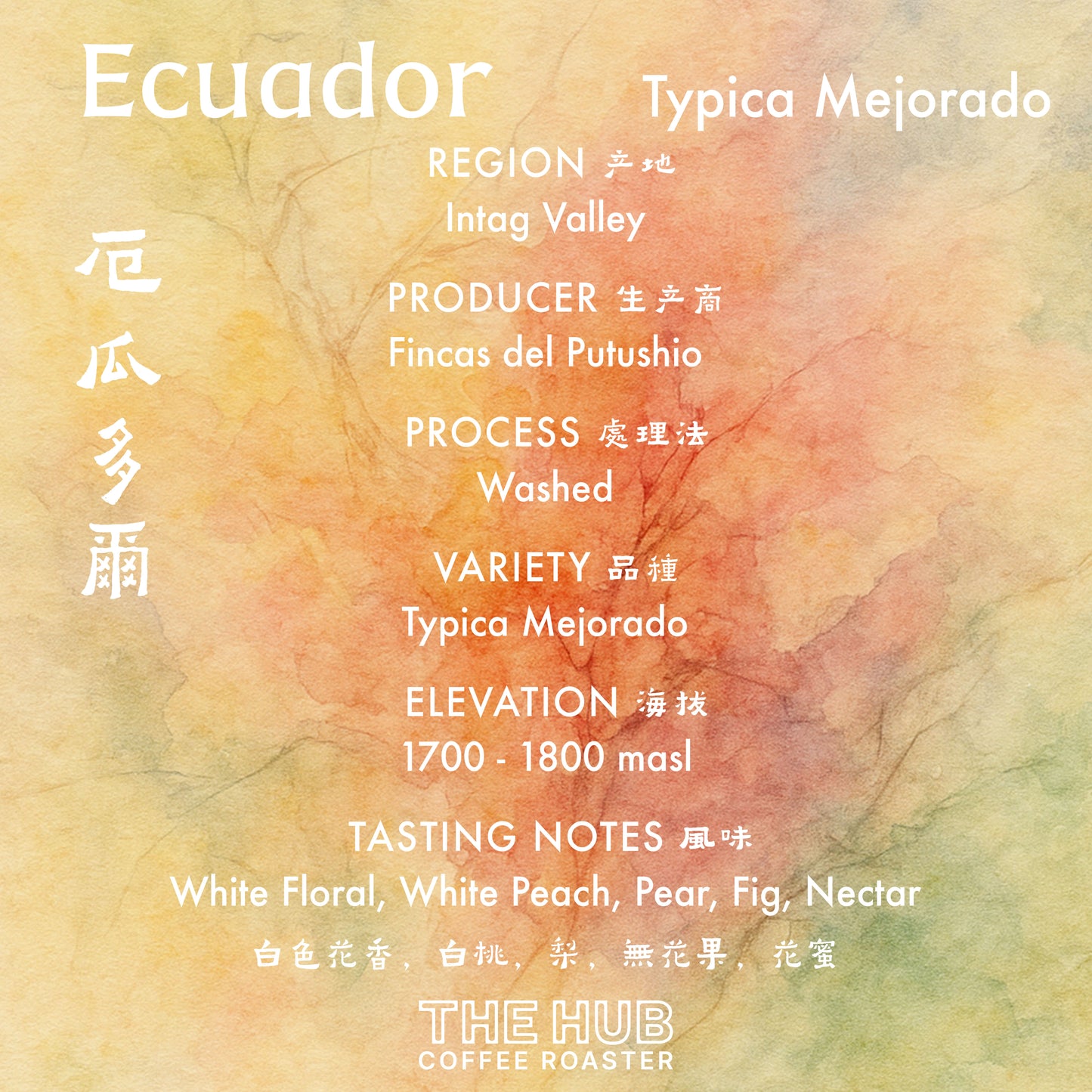 厄瓜多尔 La Soledad Typica 特别批次