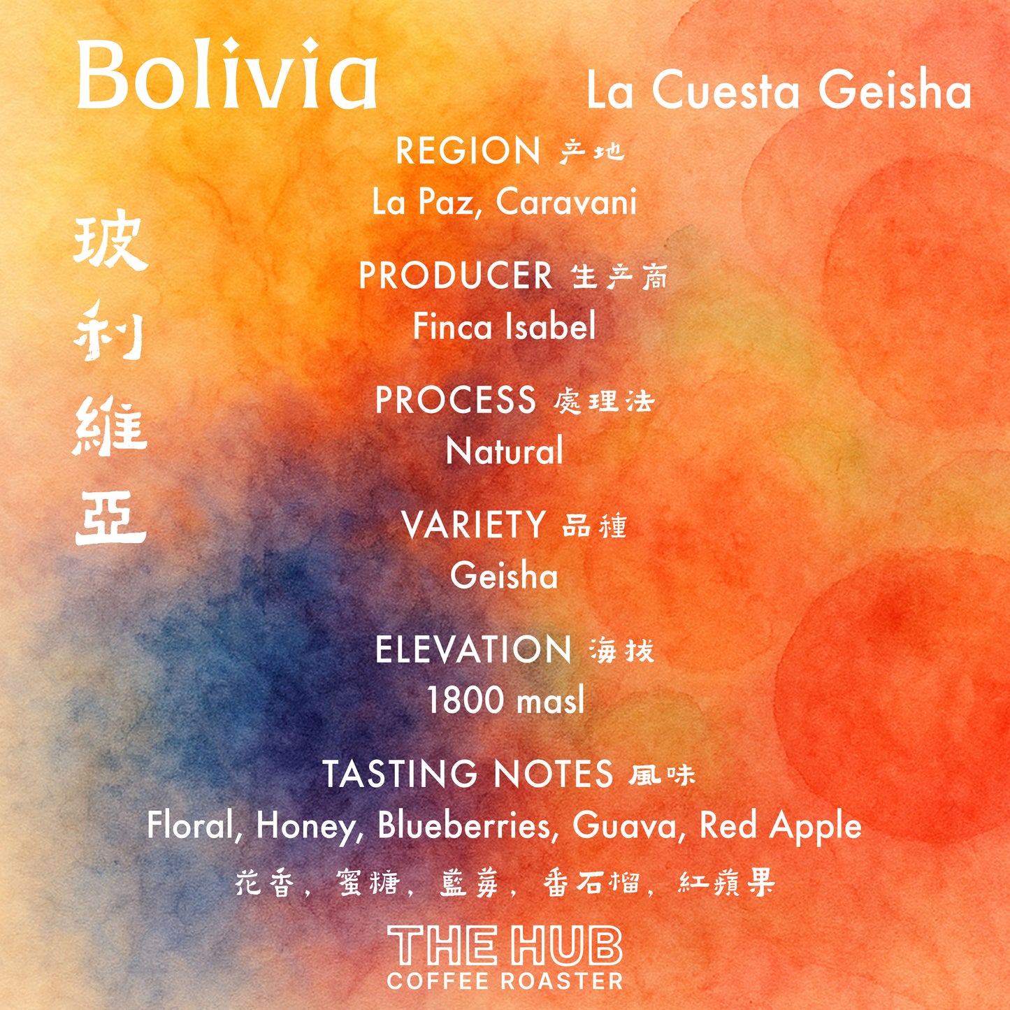 玻利维亚 Finca Isabel Geisha Rosario 洗地