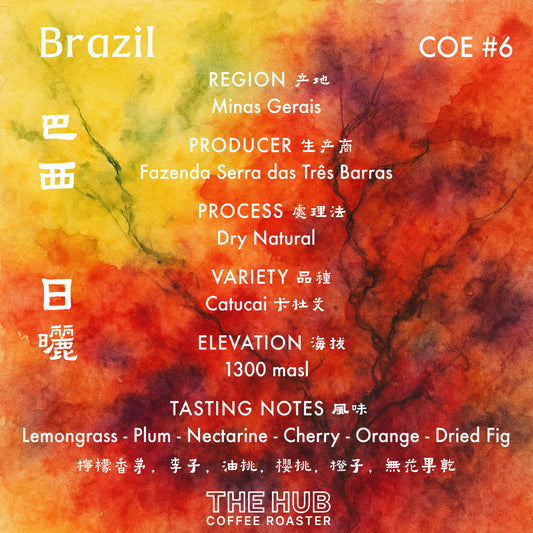 埃塞俄比亚 Gesha 村 Gesha 1931 Surma 批次 104 天然