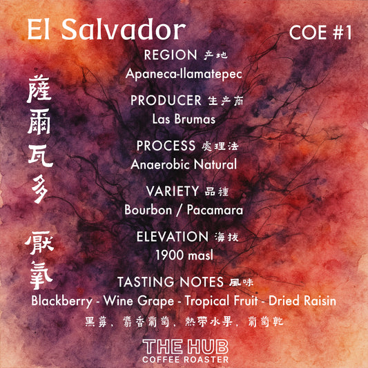 埃塞俄比亚 Gesha 村 Gesha 1931 Surma 批次 104 天然