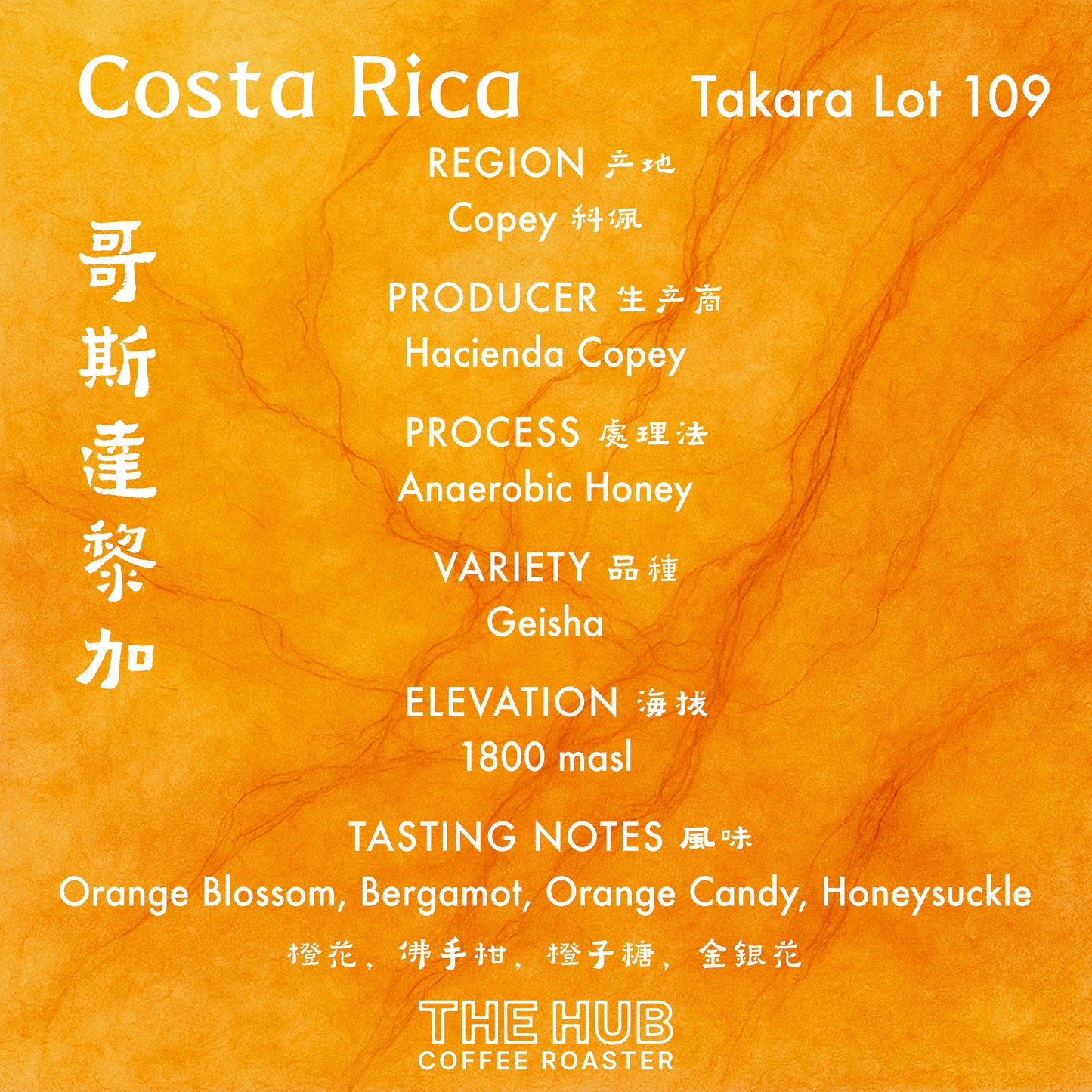 埃塞俄比亚 Gesha 村 Gesha 1931 Surma 批次 104 天然