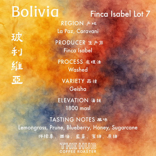 埃塞俄比亚 Gesha 村 Gesha 1931 Surma 批次 104 天然